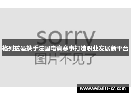 格列兹曼携手法国电竞赛事打造职业发展新平台 格列兹曼携手法国电竞赛事打造职业发展新平台