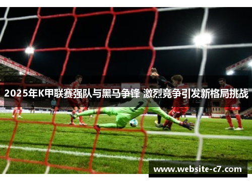 2025年K甲联赛强队与黑马争锋 激烈竞争引发新格局挑战 2025年K甲联赛强队与黑马争锋 激烈竞争引发新格局挑战
