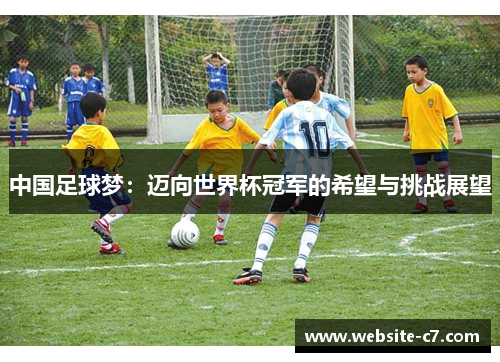 中国足球梦:迈向世界杯冠军的希望与挑战展望 中国足球梦:迈向世界杯冠军的希望与挑战展望