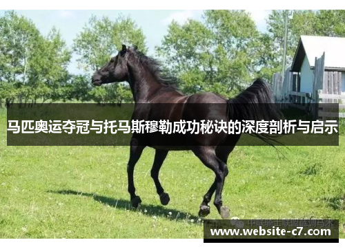 马匹奥运夺冠与托马斯穆勒成功秘诀的深度剖析与启示