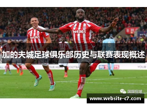 加的夫城足球俱乐部历史与联赛表现概述