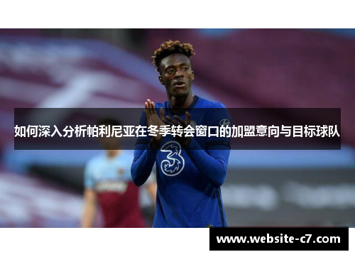 如何深入分析帕利尼亚在冬季转会窗口的加盟意向与目标球队