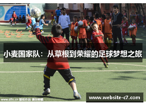 小麦国家队:从草根到荣耀的足球梦想之旅 小麦国家队:从草根到荣耀的足球梦想之旅