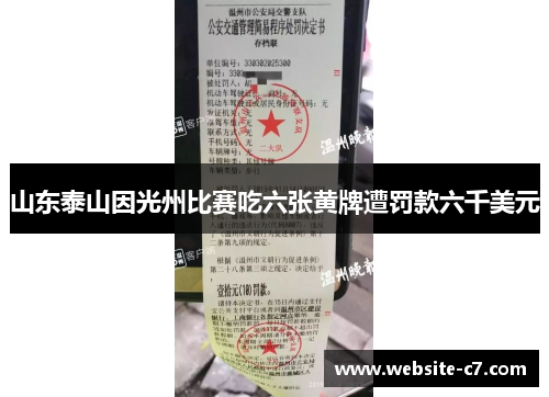 山东泰山因光州比赛吃六张黄牌遭罚款六千美元 山东泰山因光州比赛吃六张黄牌遭罚款六千美元
