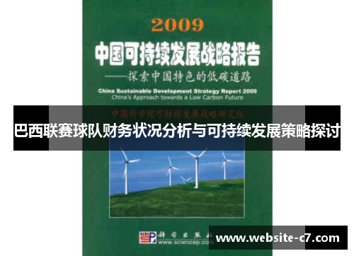 巴西联赛球队财务状况分析与可持续发展策略探讨