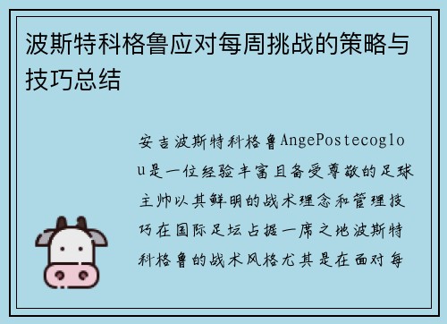 波斯特科格鲁应对每周挑战的策略与技巧总结